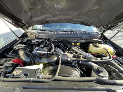 Used 2019 Ford Super Duty F-350 for sale in St. Joseph MO